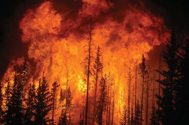 Alberta Wildfire 1