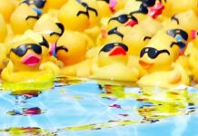 Rubber duck race