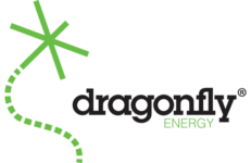 Dragonfly Logo