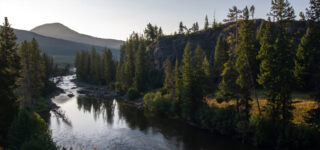 Forest River slider-image-buylocal-01